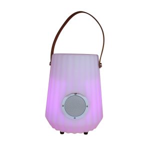 ICE BUCKET SPEAKER 003 IM1