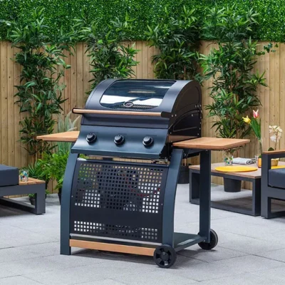 Superior Gas BBQ and Grill from Kingsley Smythe