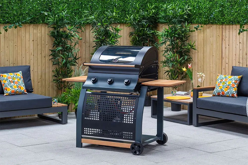 Superior Gas BBQ and Grill from Kingsley Smythe