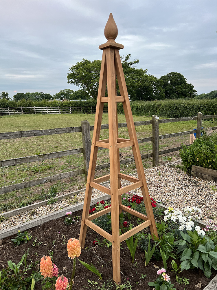 Garden obelisk clearance
